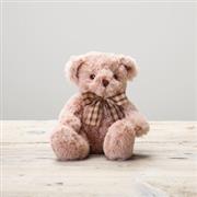 Ted the Bear