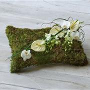 White Natural Pillow