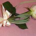 Single Flower