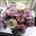 Traditional Posy