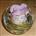 Small Modern Fish Bowl Table Centre