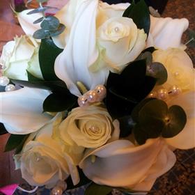 fwthumb20121014_153210.jpg