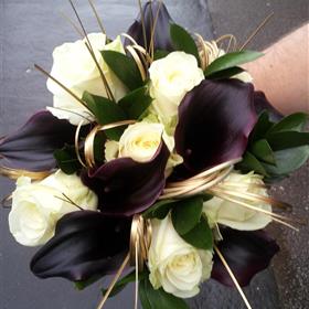 fwthumb20121110_093145.jpg