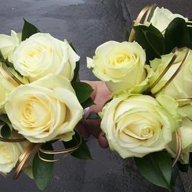 fwthumb20121110_093236.jpg