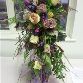 fwthumb20121125_093113.jpg