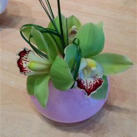 fwthumbIMG_20140320_162810.jpg