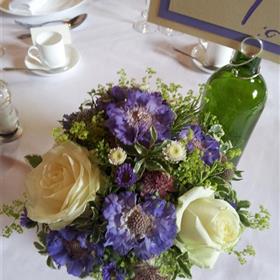 fwthumb20120720_102719.jpg
