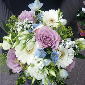 fwthumb20130727_091708.jpg