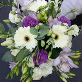 fwthumb20130803_092202.jpg
