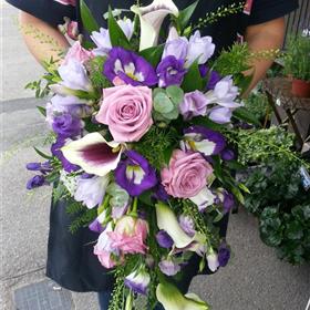 fwthumb20140802_085949.jpg