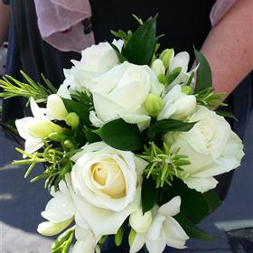 fwthumb20140802_170913.jpg
