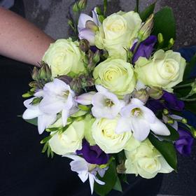 fwthumb20140809_085300.jpg