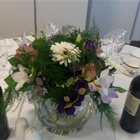fwthumb20140809_094811.jpg
