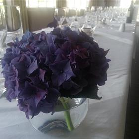 fwthumb20140809_095503.jpg
